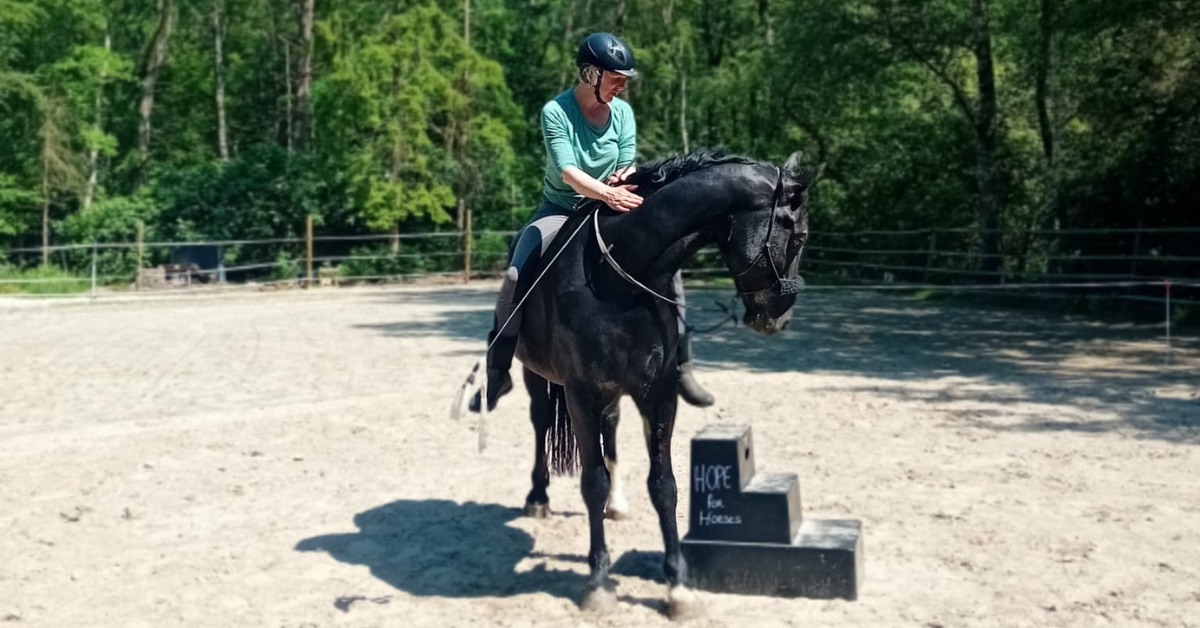 contact HOPE for Horses